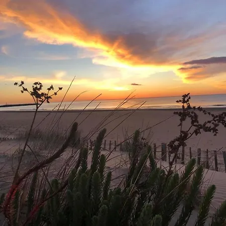 Le Sunset Marseillan-plage, Entre Mer, Canal Du Midi Et Lagune De Thau, Etape Velo, Famille, Couple, Vrp, Toutou Admis, Jardin, Parking Prive Gratuit, Velos, Clim, Wifi Fibre Gratuite, Commodites, Et Piste Cyclable A Proximite