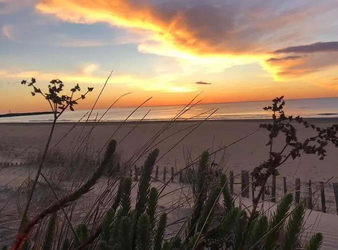 Le Sunset Marseillan-plage, Entre Et Lagune De Thau, Etape Velo, Famille, Couple, Vrp, Toutou Admis, Jardin, Parking Prive Gratuit, Velos, Clim, Wifi Fibre Gratuite, Commodites, Et Piste Cyclable A Proximite, 6 Couchages Nous Cont