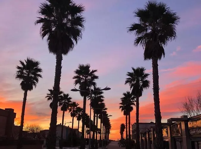 Le Sunset Marseillan-plage, Entre Et Lagune De Thau, Etape Velo, Famille, Couple, Vrp, Toutou Admis, Jardin, Parking Prive Gratuit, Velos, Clim, Wifi Fibre Gratuite, Commodites, Et Piste Cyclable A Proximite, 6 Couchages Nous Cont * Marseillan